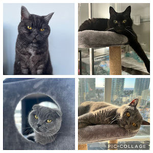 Meet your Posher, Mark